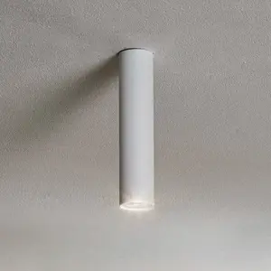 EYE M Plafondlamp Wit GU10 35W - Modern & Stijlvol