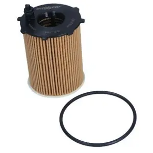 Oliefilter 262023 Maxgear pas cher