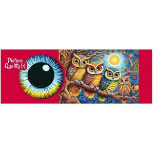 Cherry Pazzi Puzzle Eulen im Mondlicht 500 dlks (500 pièces) pas cher