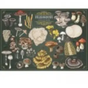 Trefl Puzzle Premium Plus 500 - Pilze (500 pièces) pas cher