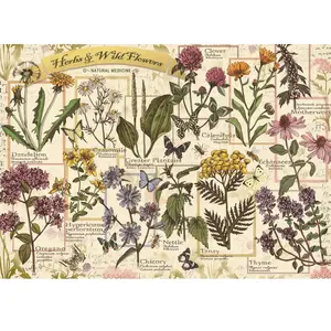 Trefl Puzzle 500 - Herbes médicinales (500 pièces)