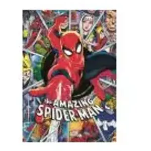 Comparateur de prix : Trefl puzzel Spider-man - 1000 stukjes - Marvel superhelden.