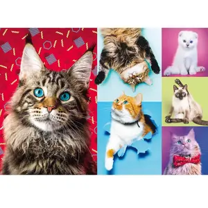 Puzzle Trefl - Chats heureux, 1000 pièces pas cher