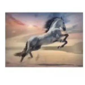 Trefl legpuzzel 1000 stukjes - Majestic Horse paard puzzel. pas cher