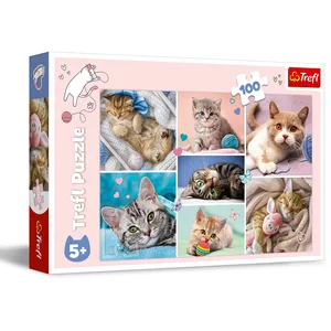 Trefl, Puzzle, Dans le monde des chats, 100 Pièces, pour les Enfants à partir de 5 ans