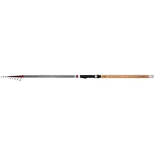 Mikado Tele Match de canne à pêche pas cher