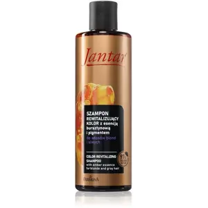 Farmona, Shampoing, Jantar Color Revitalizing Shampoo (Shampoing liquide) pas cher