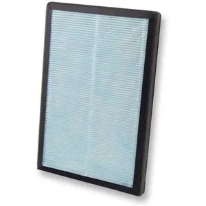 Esperanza filtras, skirtas Bora valytuvui, Traitement de l'air : acces... pas cher