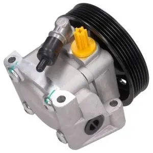 Servo pomp 480113 Maxgear