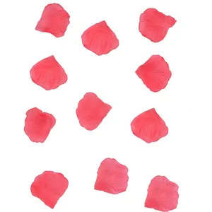 PartyDeco Merkloos / Sans marque Lichtroze Rozenblaadjes 100st pas cher