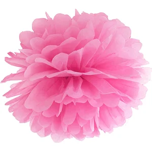PARTYDECO Pompon à suspendre en papier fuchsia 25 cm - Rose pas cher