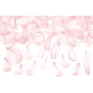 Party-Decoration Partydeco - Decoratieve veren roze pas cher