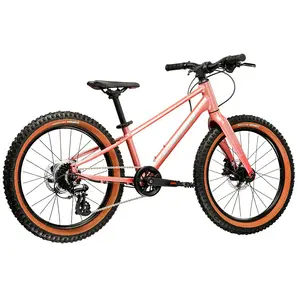 Kross Vtt Liftie 20´´ XVendu parbikeinn