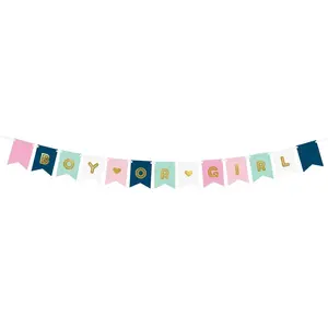 PartyDeco Letterslinger - Gender Reveal Versiering - Boy or girl? - 2,5 meter pas cher