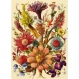 Interdruk Puzzle 1000 Blumen 5 (1000 pièces) pas cher