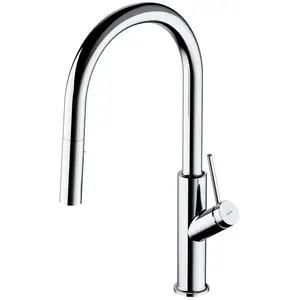 OMNIRES Bend - Keukenkraan met uittrekbare handdouche, chroom BE6455CR