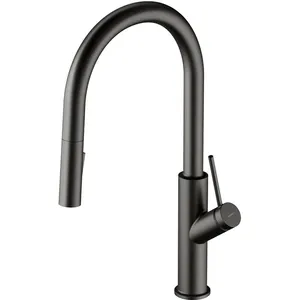 OMNIRES Bend - Keukenkraan met uittrekbare vuistdouche, grafiet BE6455GR