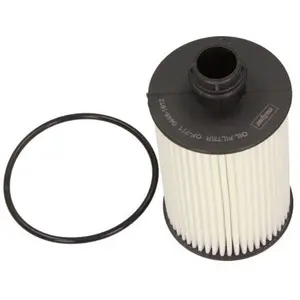 Oliefilter 260899 Maxgear pas cher