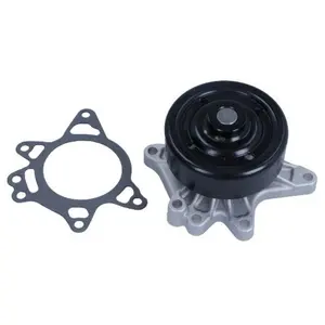 Waterpomp 470240 Maxgear pas cher