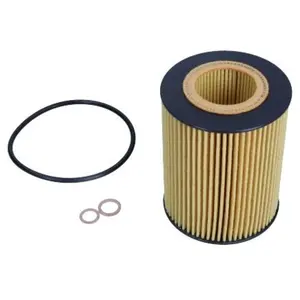 Oliefilter 260170 Maxgear pas cher
