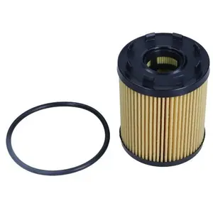Oliefilter 260195 Maxgear pas cher