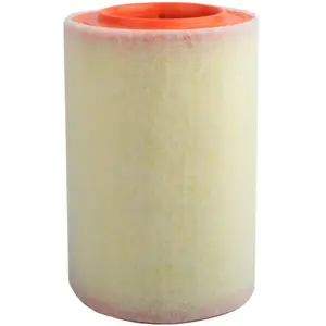 Filtre à air wix réf. Wa9687 pas cher