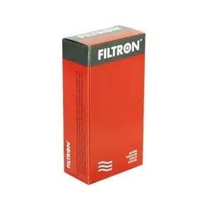 Filtron Filtre à air Talisman 16DCI 15- AP135/9 pas cher