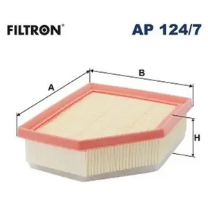 Filtron Filtre à air pour RENAULT: Austral & NISSAN: Qashqai (Ref: AP 124/7) pas cher