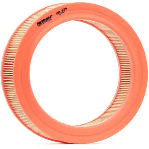 Filtron AR224 Filtre à air pas cher