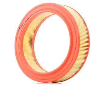 Filtron Filtre à air ar226 pas cher