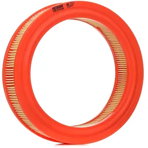 Filtron Filtre à air ar213 pas cher