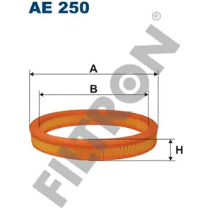 Filtron Filtre à air ae250 pas cher