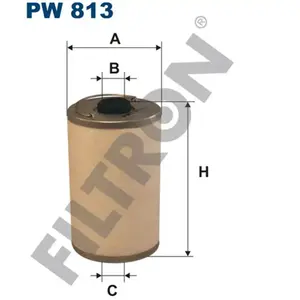 Filtron Filtre à carburant, pw813 pas cher