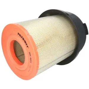 Filtron Filtre à air am465 pas cher