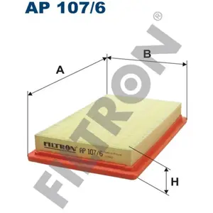 Filtron Filtre à air ap107/6 pas cher