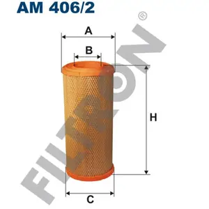Filtron Filtre à air AM406/2 pas cher