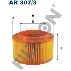 FILTRON Filtre a air AR307 / 3 pas cher