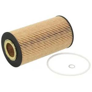 Filtron Filtre à huile, OE650/4 pas cher