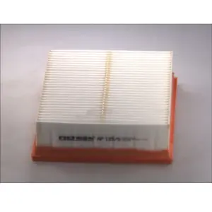 Filtron Filtre à air, ap135/5 pas cher