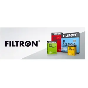 Filtron Filtre à air, ap152/5 pas cher