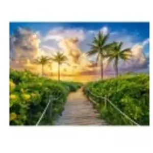 Puzzle 3000 pièces Castorland - Miami, Etats-Unis pas cher