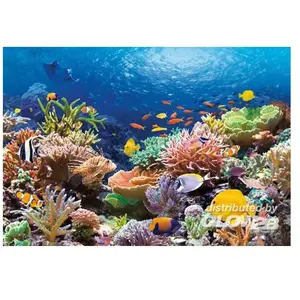 Puzzle Castorland - Poissons des récifs coralliens, 1000 pièces pas cher