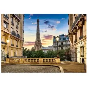 Castorland Promenade dans Paris au Coucher du Soleil 104925 pas cher