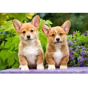 Castorland Welsh Corgi Puppies 104659 pas cher