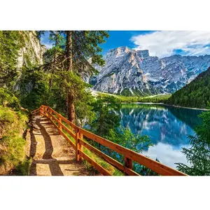 Castorland Csc104109 Puzzle, différents pas cher
