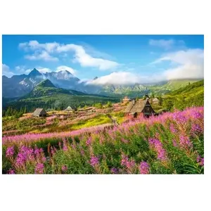 Puzzle Castorland - Tatras, Pologne, 1000 pièces pas cher