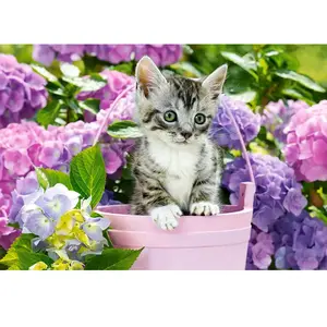Castorland Chaton dans le Pot 152001 pas cher