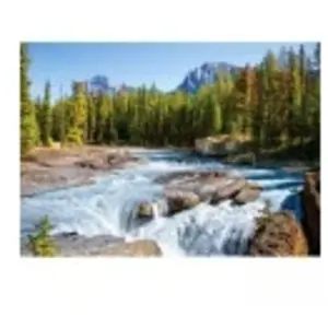 Castorland Canada, Parc National de Jasper : Rivière Athabasca 150762 pas cher