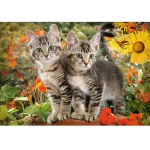 Castorland Puzzel Kitten Buddies - 1500 Stukjes pas cher