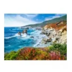 Castorland Côtes de Big Sur, Californie, USA 200856 pas cher